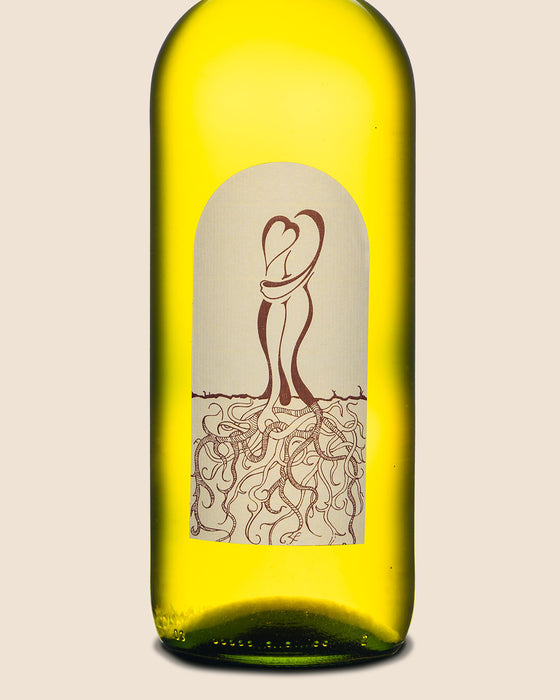 Zorjan Cuvee (magnum!)